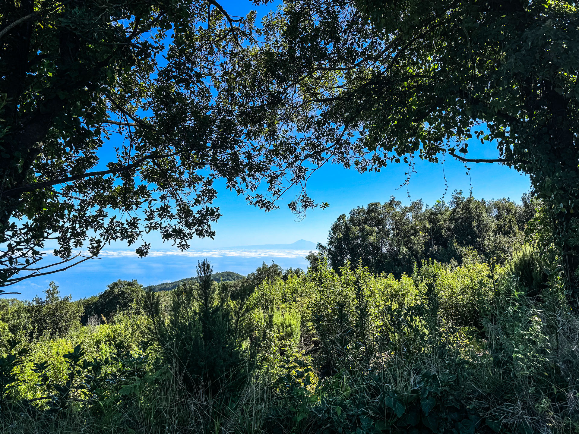 Blick auf Teneriffa